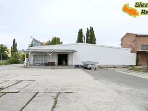 Pronájem skladu, Ostrava, Výškovická, 907 m2