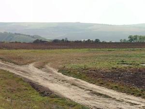 Prodej pole, Velké Němčice, 3000 m2
