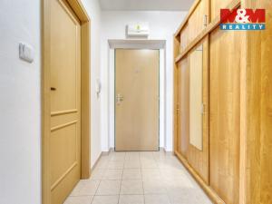 Pronájem bytu 1+kk, Štěnovice, Čižická, 28 m2