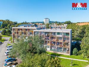 Prodej bytu 1+1, Příbram - Příbram VII, Gen. Kholla, 47 m2