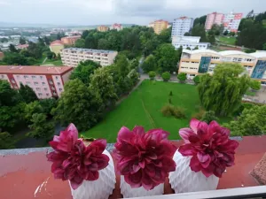 Prodej bytu 1+1, Uherský Brod, 30 m2