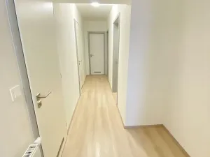 Pronájem bytu 4+kk, Plzeň, U Borských kasáren, 99 m2