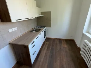 Pronájem bytu 1+1, Nový Jičín, Luční, 41 m2