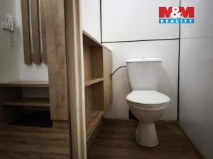 Pronájem bytu 1+kk, Karviná - Fryštát, Karola Śliwky, 32 m2