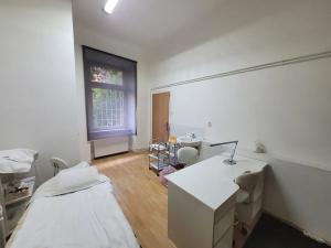 Pronájem obchodního prostoru, Brno, Hrnčířská, 60 m2