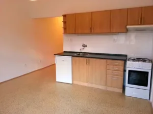 Pronájem bytu 1+kk, Praha - Žižkov, Čajkovského, 30 m2