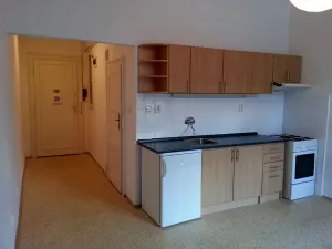 Pronájem bytu 1+kk, Praha - Žižkov, Čajkovského, 30 m2