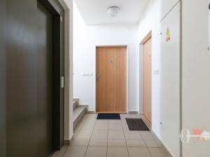 Pronájem bytu 1+kk, Praha - Horní Měcholupy, Boloňská, 30 m2