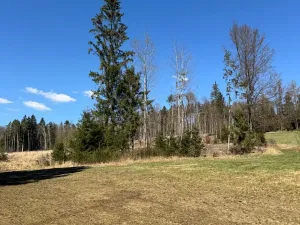 Prodej podílu pozemku, Studená, 18432 m2