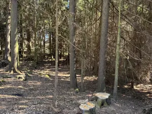 Prodej podílu pozemku, Studená, 18432 m2