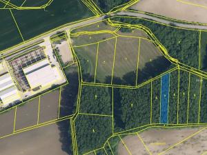 Prodej podílu lesa, Sobotka, 1701 m2