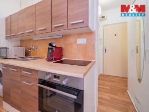 Pronájem bytu 1+kk, Aš, Dobrovského, 19 m2