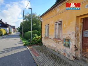 Prodej rodinného domu, Nové Město pod Smrkem, Havlíčkova, 175 m2