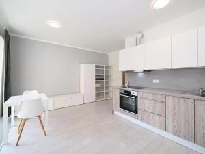 Pronájem bytu 1+kk, Praha - Karlín, Křižíkova, 35 m2
