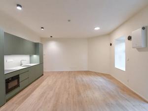 Pronájem bytu 1+kk, Praha - Nusle, Boleslavova, 43 m2