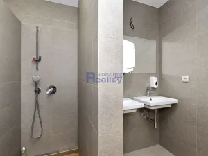 Prodej výrobních prostor, Hradec Králové, Jana Krušinky, 2133 m2