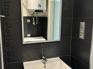 Pronájem bytu 1+1, Brno - Staré Brno, Kopečná, 44 m2