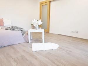 Pronájem bytu 1+1, Brno, Fričova, 46 m2
