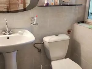Prodej rodinného domu, Bechyně, Lišky, 127 m2