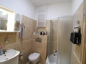 Pronájem bytu 2+1, Karlovy Vary, Zeyerova, 60 m2