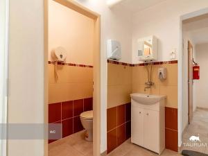Prodej obchodního prostoru, Karlovy Vary, Vítězná, 147 m2
