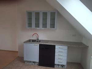 Pronájem bytu 3+kk, Praha - Vinohrady, Mánesova, 100 m2