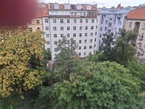 Pronájem bytu 3+kk, Praha - Vinohrady, Mánesova, 100 m2