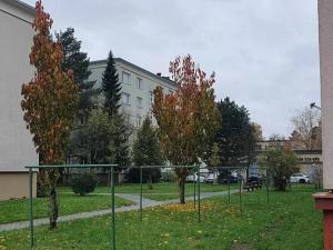 Prodej bytu 2+1, Zlín, Dukelská, 52 m2