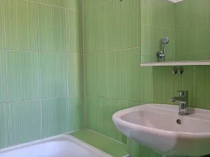Pronájem bytu 1+1, Plzeň, Dvořákova, 58 m2