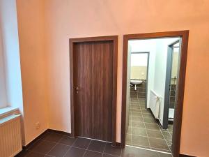 Pronájem obchodního prostoru, Praha, Radlická, 60 m2