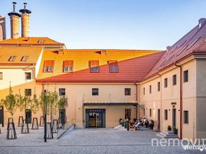 Pronájem bytu 2+kk, Praha, Muzikova, 47 m2