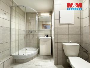 Pronájem bytu 3+1, Ostrov, Lidická, 85 m2