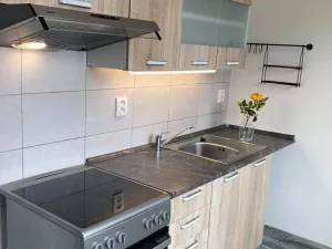 Pronájem bytu 2+1, Chomutov, Cihlářská, 52 m2