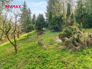 Prodej chalupy, Nečtiny, 160 m2