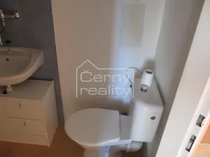 Pronájem bytu 1+1, Chrudim, Soukenická, 47 m2
