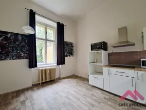 Pronájem bytu 2+kk, Praha - Nové Město, Mezibranská, 54 m2
