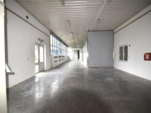 Pronájem výrobních prostor, Česká Ves, Polská, 2190 m2