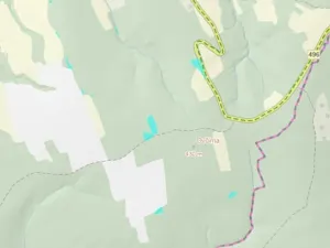 Prodej podílu lesa, Luhačovice, 852931 m2