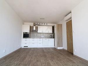 Pronájem bytu 2+kk, Plzeň, Otýlie Beníškové, 49 m2