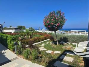Prodej bytu 1+kk, Agios Amvrosios Keryneias, Kypr, 38 m2