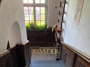 Pronájem bytu 3+1, Teplice, Pod Doubravkou, 130 m2