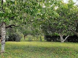 Prodej rodinného domu, Ořechov, Divadelní, 135 m2