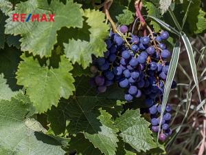 Prodej rodinného domu, Nový Oldřichov, 265 m2