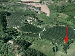 Prodej podílu lesa, Vranová Lhota, 1177 m2