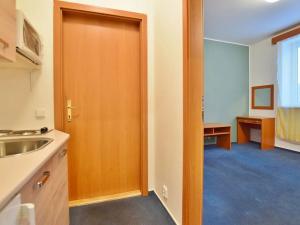 Pronájem bytu 1+kk, Brno, Horova, 27 m2