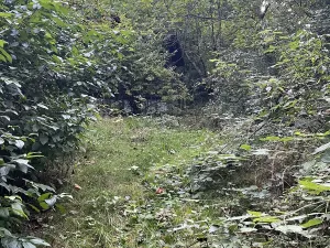Prodej chalupy, Trojanovice, 1400 m2