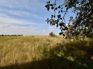 Prodej pozemku pro bydlení, Radovesnice II, 976 m2