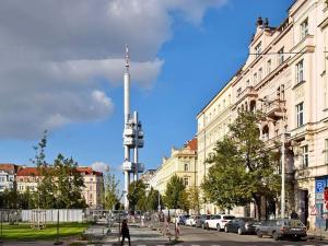 Pronájem bytu 1+1, Praha - Vinohrady, Řipská, 45 m2