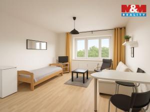 Pronájem bytu 1+kk, Liberec, Jeronýmova, 33 m2