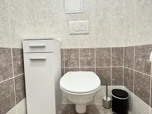 Pronájem bytu 1+kk, Holubice, Platanová, 48 m2